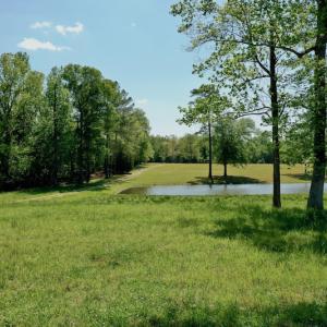 Photo #3 of Off Hwy 43, Vanceboro, NC 26.0 acres