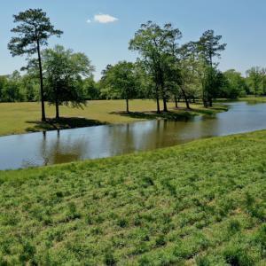 Photo #4 of Off Hwy 43, Vanceboro, NC 26.0 acres