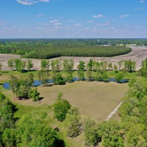Photo #6 of Off Hwy 43, Vanceboro, NC 26.0 acres