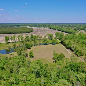 Photo #7 of Off Hwy 43, Vanceboro, NC 26.0 acres