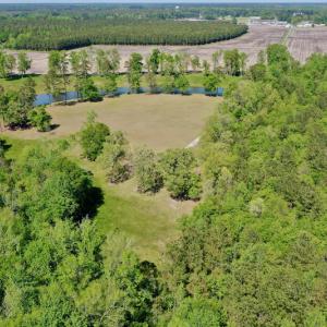 Photo #9 of Off Hwy 43, Vanceboro, NC 26.0 acres
