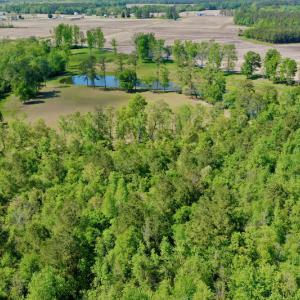 Photo #10 of Off Hwy 43, Vanceboro, NC 26.0 acres