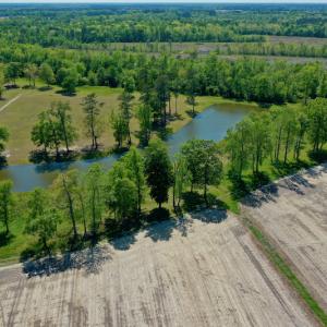 Photo #13 of Off Hwy 43, Vanceboro, NC 26.0 acres