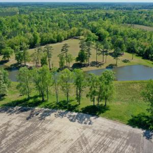 Photo #14 of Off Hwy 43, Vanceboro, NC 26.0 acres