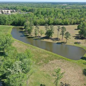 Photo #15 of Off Hwy 43, Vanceboro, NC 26.0 acres