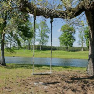 Photo #20 of Off Hwy 43, Vanceboro, NC 26.0 acres
