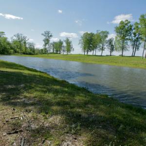 Photo #22 of Off Hwy 43, Vanceboro, NC 26.0 acres