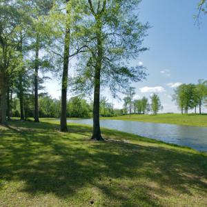Photo #23 of Off Hwy 43, Vanceboro, NC 26.0 acres