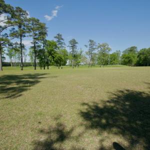 Photo #25 of Off Hwy 43, Vanceboro, NC 26.0 acres