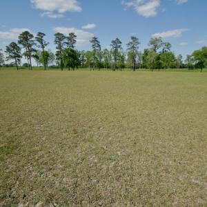 Photo #26 of Off Hwy 43, Vanceboro, NC 26.0 acres