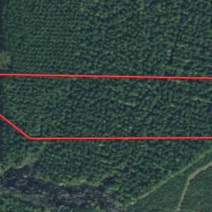Photo #1 of SOLD property in 428 Batt's Island Road, Edenton, NC 22.0 acres