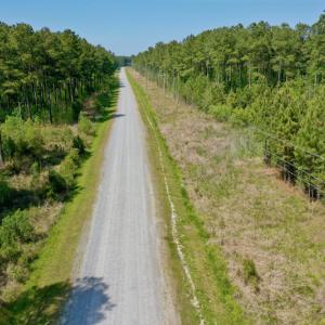 Photo #3 of SOLD property in 428 Batt's Island Road, Edenton, NC 22.0 acres