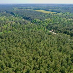 Photo #17 of SOLD property in 428 Batt's Island Road, Edenton, NC 22.0 acres