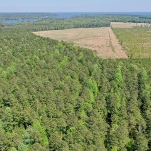 Photo #22 of SOLD property in 428 Batt's Island Road, Edenton, NC 22.0 acres