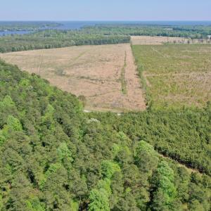 Photo #23 of SOLD property in 428 Batt's Island Road, Edenton, NC 22.0 acres