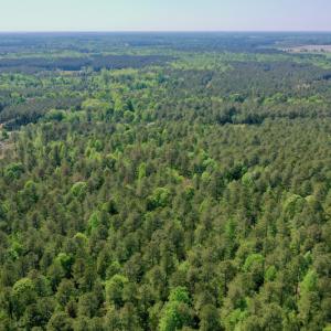 Photo #28 of SOLD property in 428 Batt's Island Road, Edenton, NC 22.0 acres