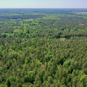 Photo #29 of SOLD property in 428 Batt's Island Road, Edenton, NC 22.0 acres