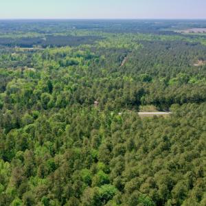 Photo #30 of SOLD property in 428 Batt's Island Road, Edenton, NC 22.0 acres
