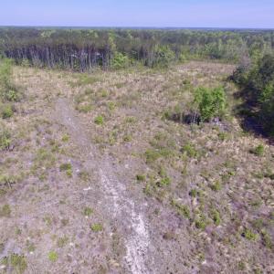 Photo #4 of SOLD property in Off Halifax Road, Lawrenceville, VA 53.3 acres