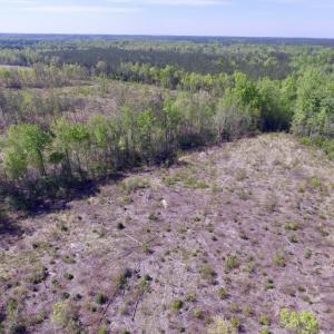 Photo #3 of SOLD property in Off Halifax Road, Lawrenceville, VA 53.3 acres