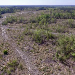 Photo #5 of SOLD property in Off Halifax Road, Lawrenceville, VA 53.3 acres