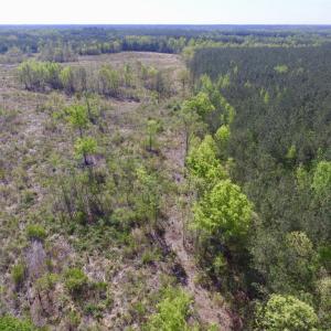 Photo #6 of SOLD property in Off Halifax Road, Lawrenceville, VA 53.3 acres