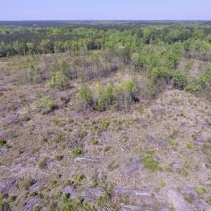 Photo #7 of SOLD property in Off Halifax Road, Lawrenceville, VA 53.3 acres