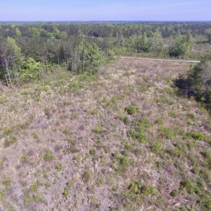 Photo #12 of SOLD property in Off Halifax Road, Lawrenceville, VA 53.3 acres