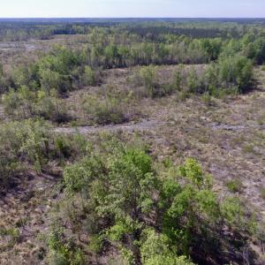 Photo #8 of SOLD property in Off Halifax Road, Lawrenceville, VA 53.3 acres