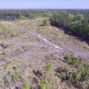 Photo #9 of SOLD property in Off Halifax Road, Lawrenceville, VA 53.3 acres