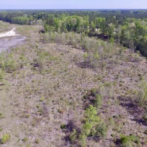Photo #10 of SOLD property in Off Halifax Road, Lawrenceville, VA 53.3 acres