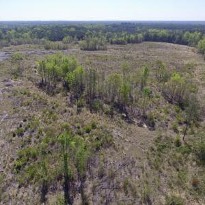 Photo #11 of SOLD property in Off Halifax Road, Lawrenceville, VA 53.3 acres