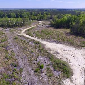 Photo #13 of SOLD property in Off Halifax Road, Lawrenceville, VA 53.3 acres