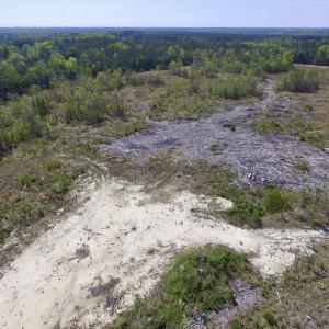 Photo #14 of SOLD property in Off Halifax Road, Lawrenceville, VA 53.3 acres