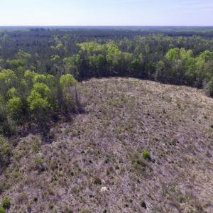 Photo #15 of SOLD property in Off Halifax Road, Lawrenceville, VA 53.3 acres