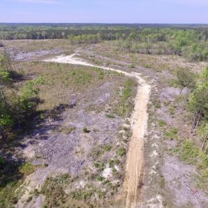 Photo #16 of SOLD property in Off Halifax Road, Lawrenceville, VA 53.3 acres