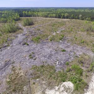 Photo #17 of SOLD property in Off Halifax Road, Lawrenceville, VA 53.3 acres