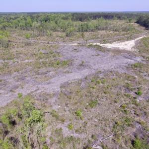 Photo #18 of SOLD property in Off Halifax Road, Lawrenceville, VA 53.3 acres