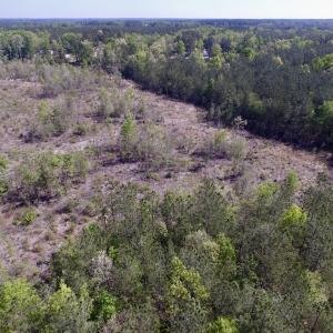 Photo #19 of SOLD property in Off Halifax Road, Lawrenceville, VA 53.3 acres