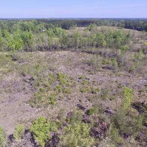 Photo #20 of SOLD property in Off Halifax Road, Lawrenceville, VA 53.3 acres