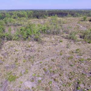 Photo #21 of SOLD property in Off Halifax Road, Lawrenceville, VA 53.3 acres