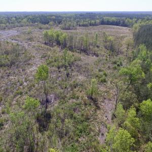 Photo #22 of SOLD property in Off Halifax Road, Lawrenceville, VA 53.3 acres