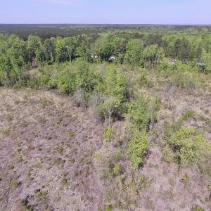 Photo #23 of SOLD property in Off Halifax Road, Lawrenceville, VA 53.3 acres