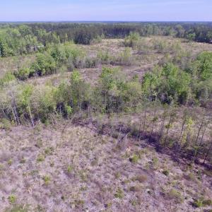 Photo #24 of SOLD property in Off Halifax Road, Lawrenceville, VA 53.3 acres