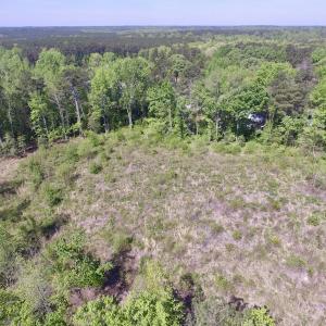 Photo #25 of SOLD property in Off Halifax Road, Lawrenceville, VA 53.3 acres