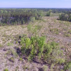 Photo #26 of SOLD property in Off Halifax Road, Lawrenceville, VA 53.3 acres