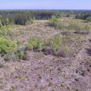 Photo #27 of SOLD property in Off Halifax Road, Lawrenceville, VA 53.3 acres