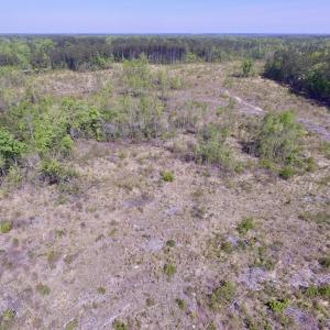 Photo #28 of SOLD property in Off Halifax Road, Lawrenceville, VA 53.3 acres