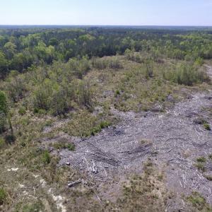 Photo #29 of SOLD property in Off Halifax Road, Lawrenceville, VA 53.3 acres