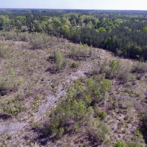 Photo #31 of SOLD property in Off Halifax Road, Lawrenceville, VA 53.3 acres